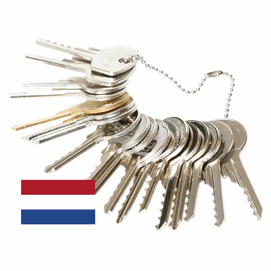 Bump Keys – Set DE (Deutschland) 20 St.